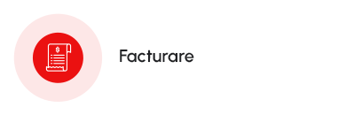 Integrare 7